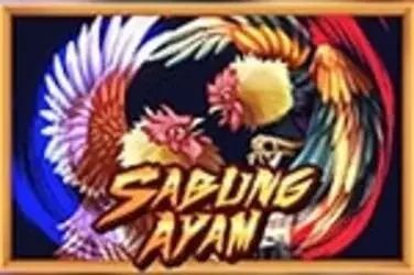 Sabung Ayam